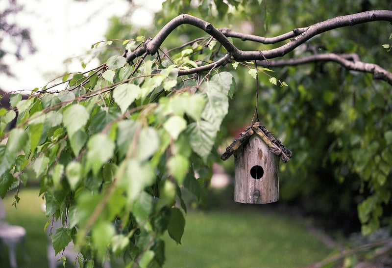 Green outdoor space